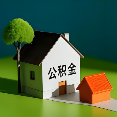 衡水大额公积金代提取有不一样流程及不一样的方案攻略在这里！